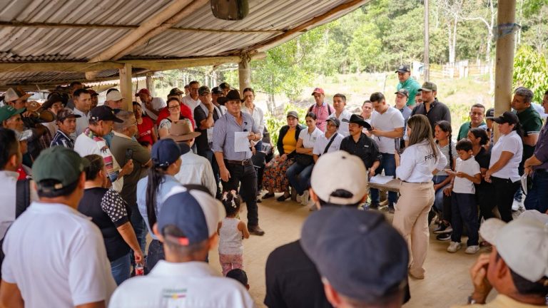 WhatsApp Image 2026-02-11 at 10.36.35 PM