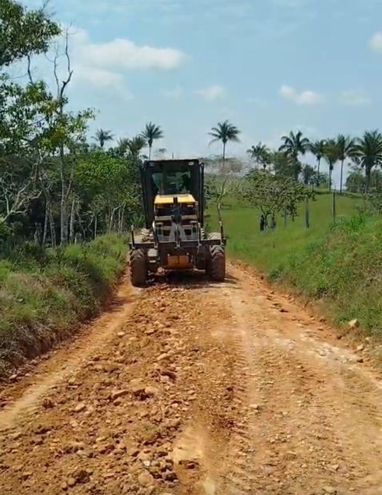 WhatsApp Image 2026-02-11 at 7.07.53 PM (1)