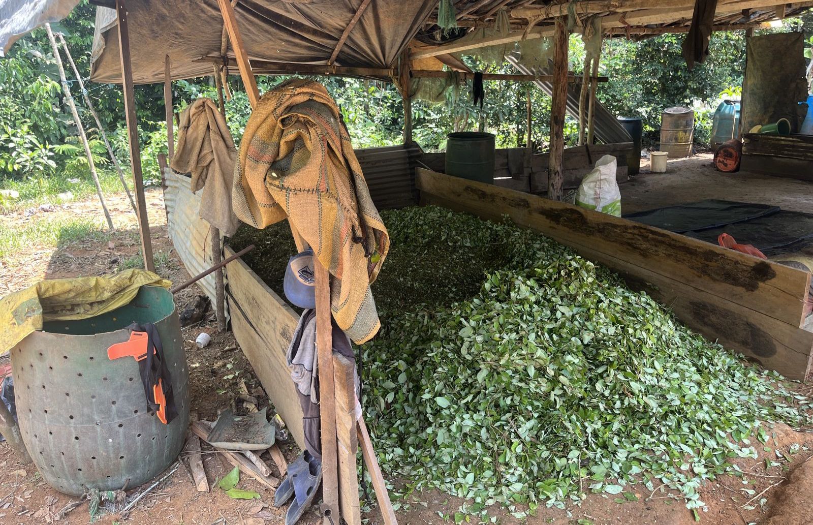 WhatsApp Image 2026-02-13 at 7.31.45 AM